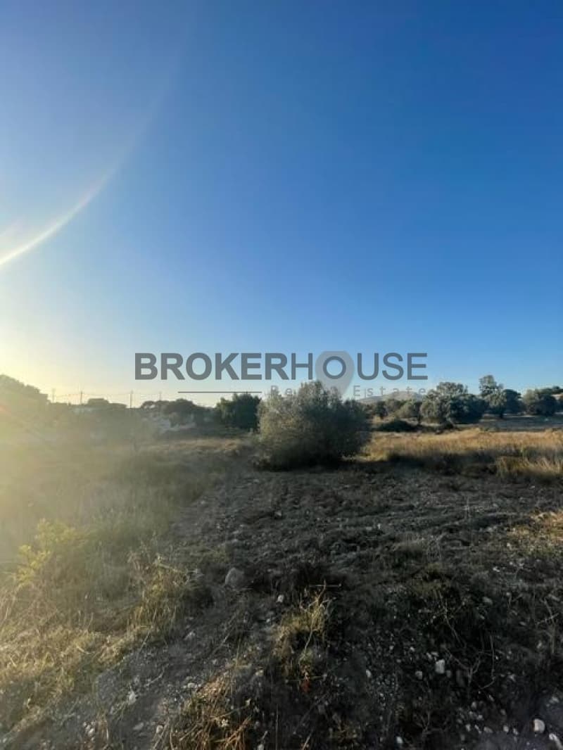 Parcel in Dimolaki, Anavissos — Photo 13 of 16