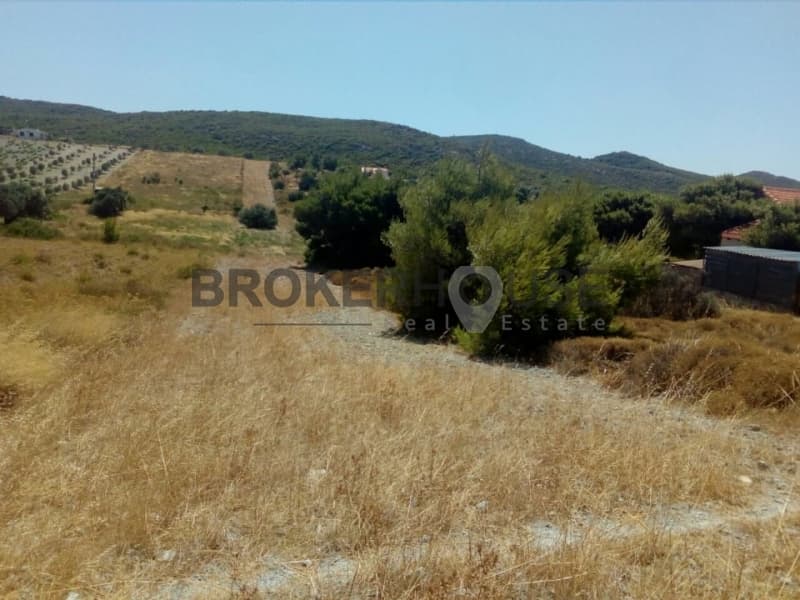Parcel in Dimolaki, Anavissos — Photo 11 of 16