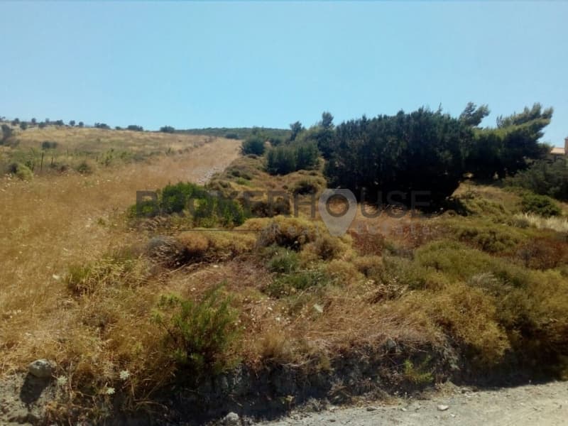 Parcel in Dimolaki, Anavissos — Photo 8 of 16