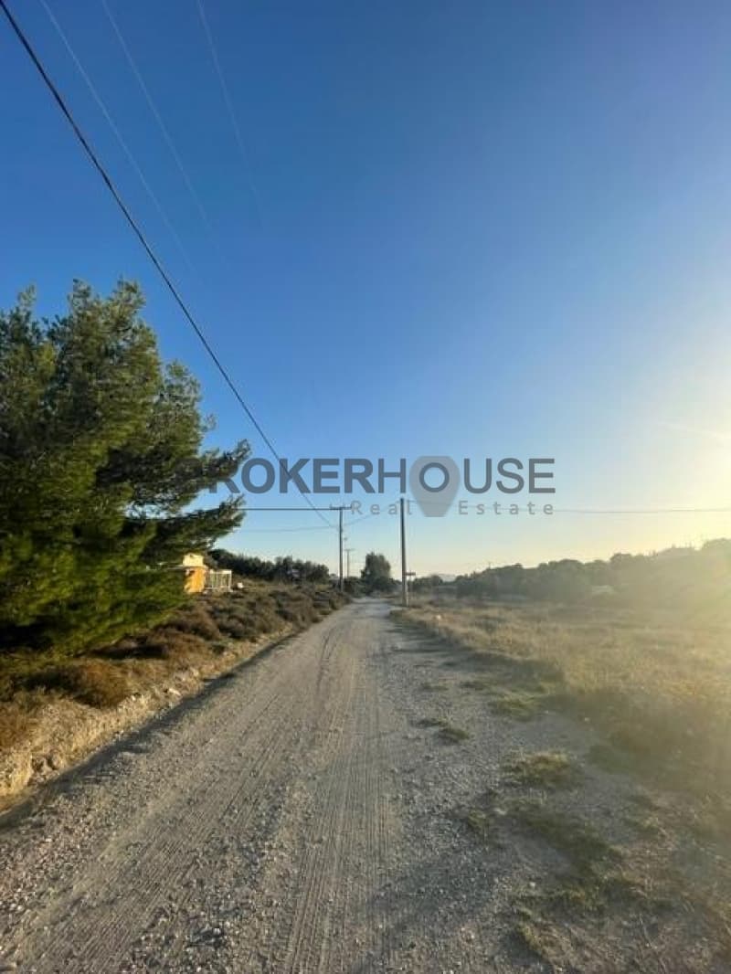 Parcel in Dimolaki, Anavissos — Photo 15 of 16