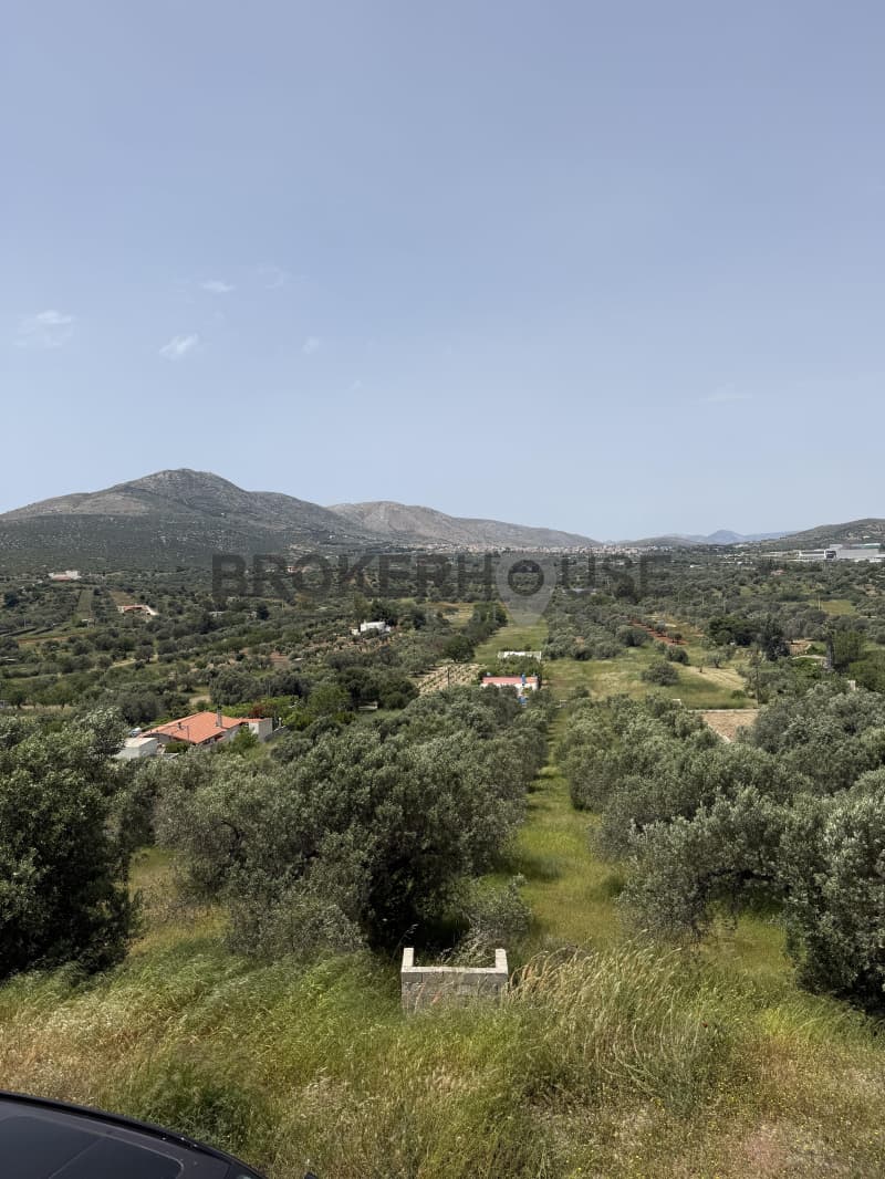 Μονοκατοικία στην Μητροπήσι, Κερατέα — Φωτογραφία 1 από 21