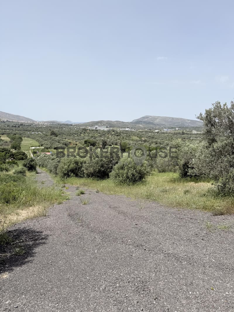 Μονοκατοικία στην Μητροπήσι, Κερατέα — Φωτογραφία 10 από 21