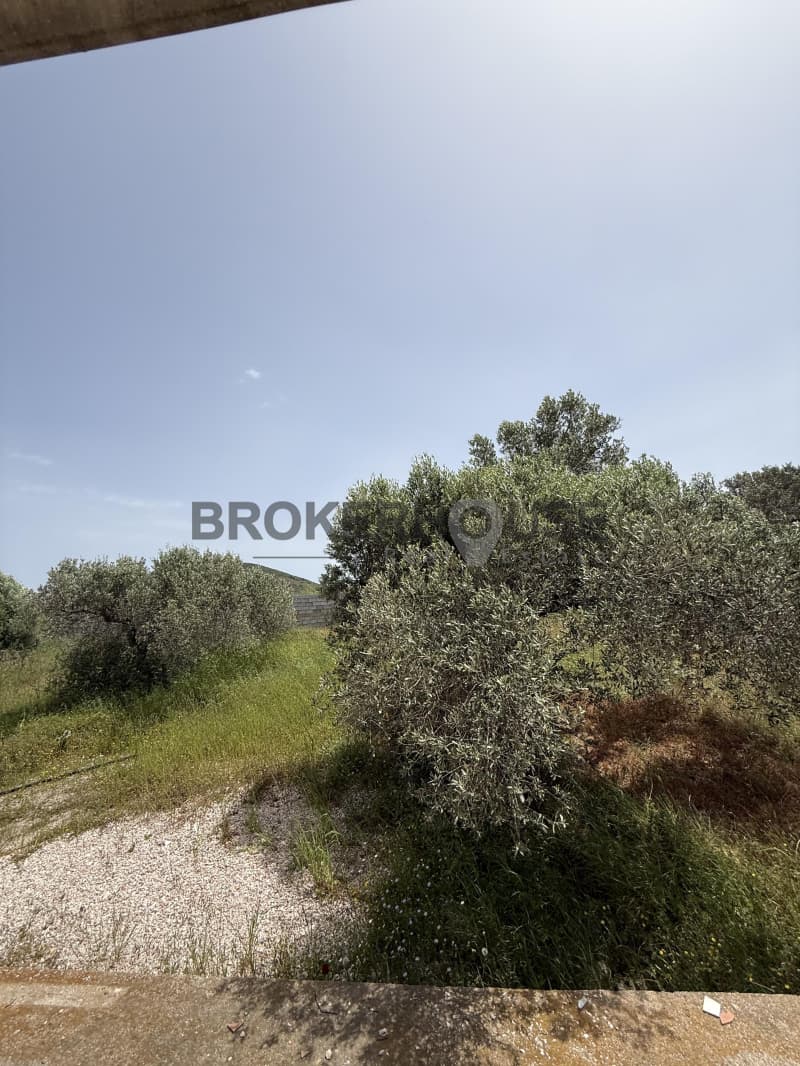 Μονοκατοικία στην Μητροπήσι, Κερατέα — Φωτογραφία 20 από 21