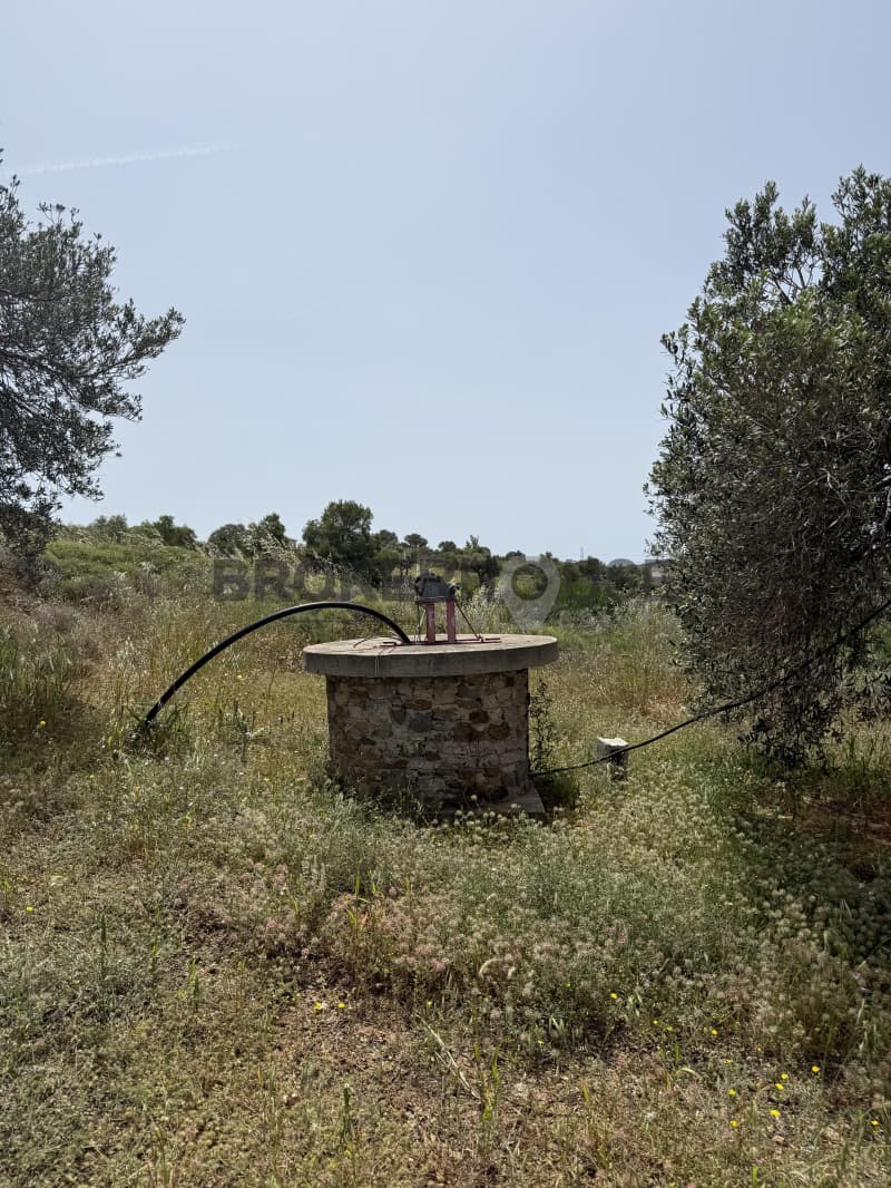 Μονοκατοικία στην Μητροπήσι, Κερατέα — Φωτογραφία 21 από 21