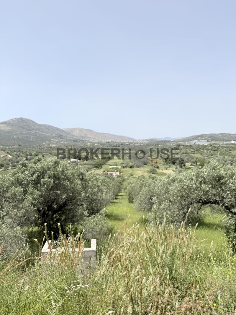 Μονοκατοικία στην Μητροπήσι, Κερατέα — Φωτογραφία 18 από 21