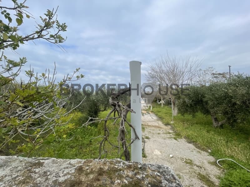 Οικόπεδο στην Καλύβια, Καλύβια Θορικού — Φωτογραφία 3 από 4