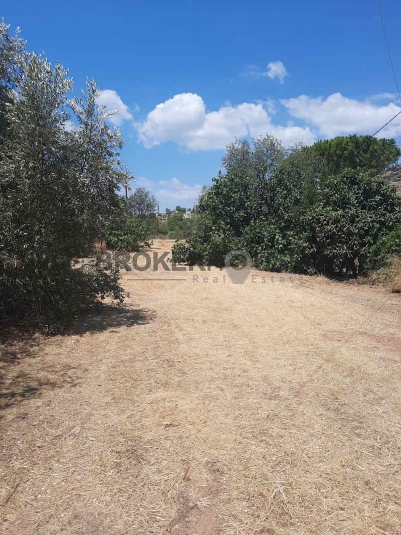 Οικόπεδο στην Καλύβια, Καλύβια Θορικού — Φωτογραφία 2 από 3