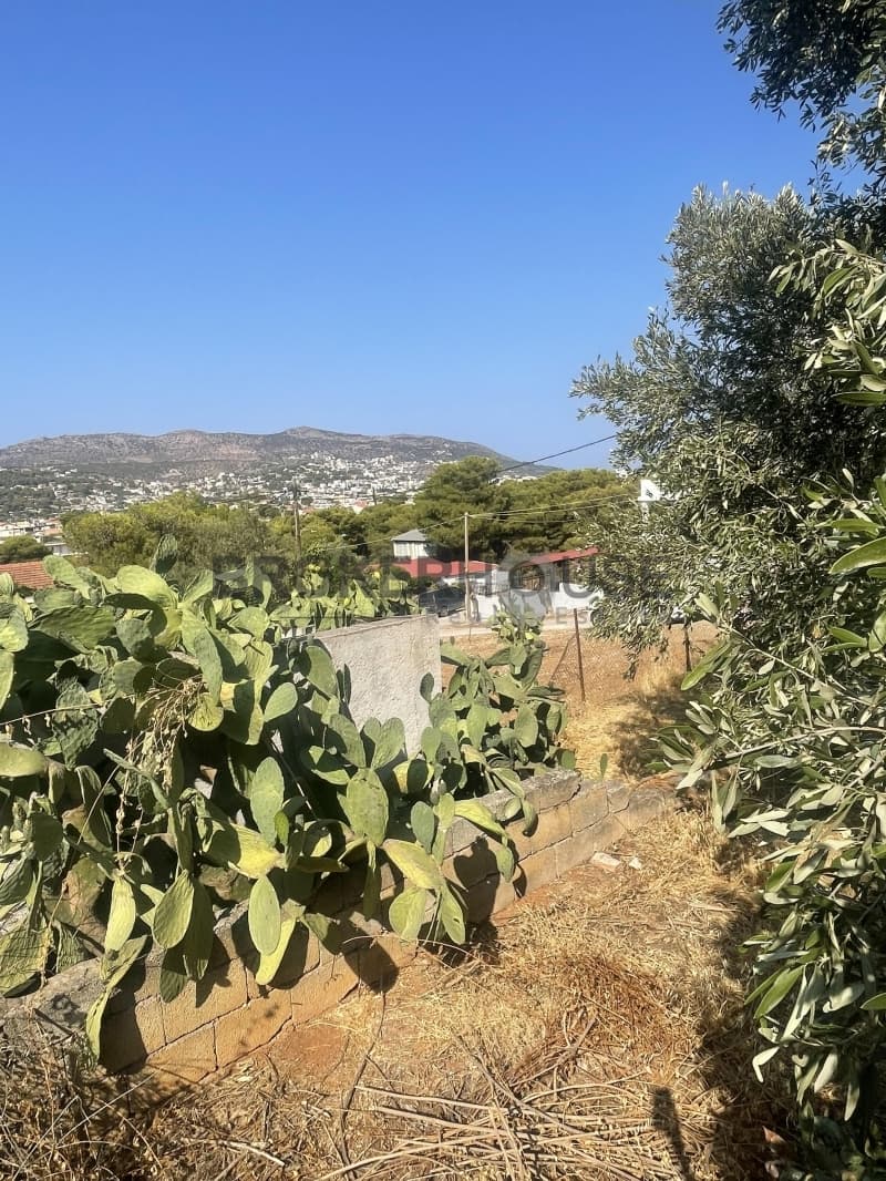 Building Plot in Porto Rafti, Vravrona — Photo 7 of 10