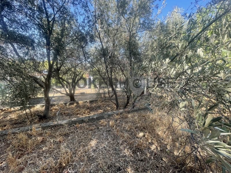 Building Plot in Porto Rafti, Vravrona — Photo 4 of 10