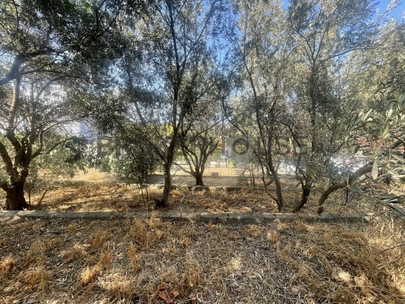 Building Plot in Porto Rafti, Vravrona — Photo 3 of 10