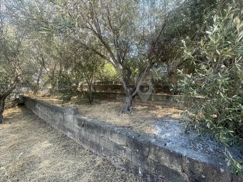 Building Plot in Porto Rafti, Vravrona — Photo 5 of 10
