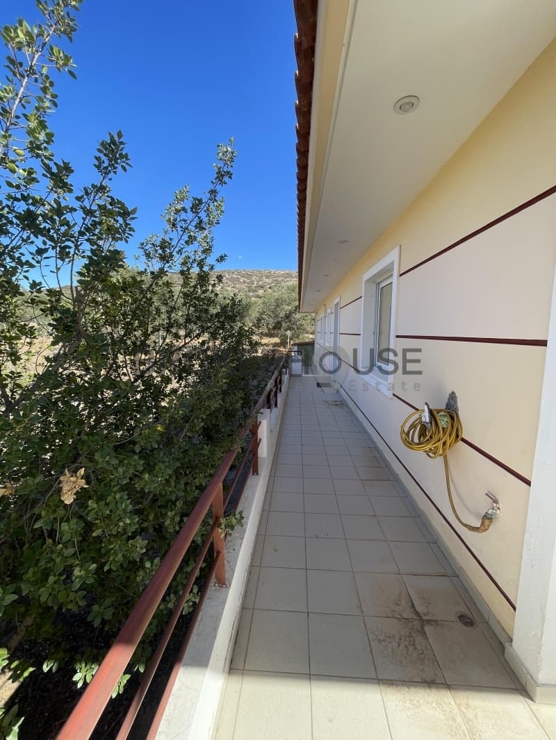 House in Ampelonas, Kalivia Thorikou — Photo 5 of 30