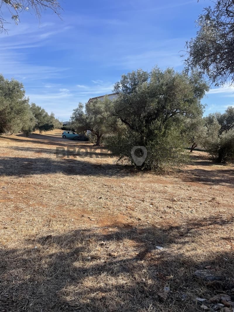 Οικόπεδο στην Καλύβια, Καλύβια Θορικού — Φωτογραφία 5 από 8