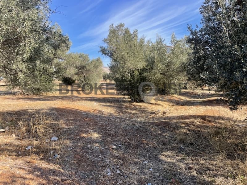 Οικόπεδο στην Καλύβια, Καλύβια Θορικού — Φωτογραφία 4 από 8