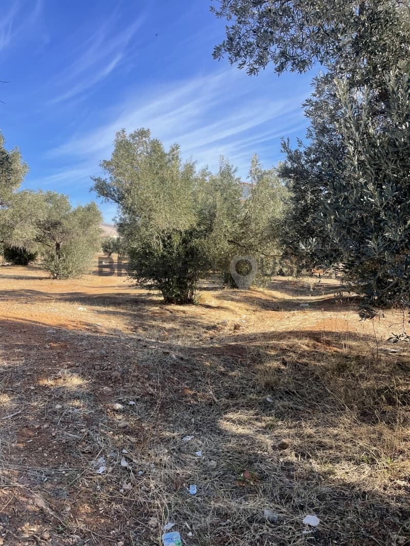 Οικόπεδο στην Καλύβια, Καλύβια Θορικού — Φωτογραφία 7 από 8