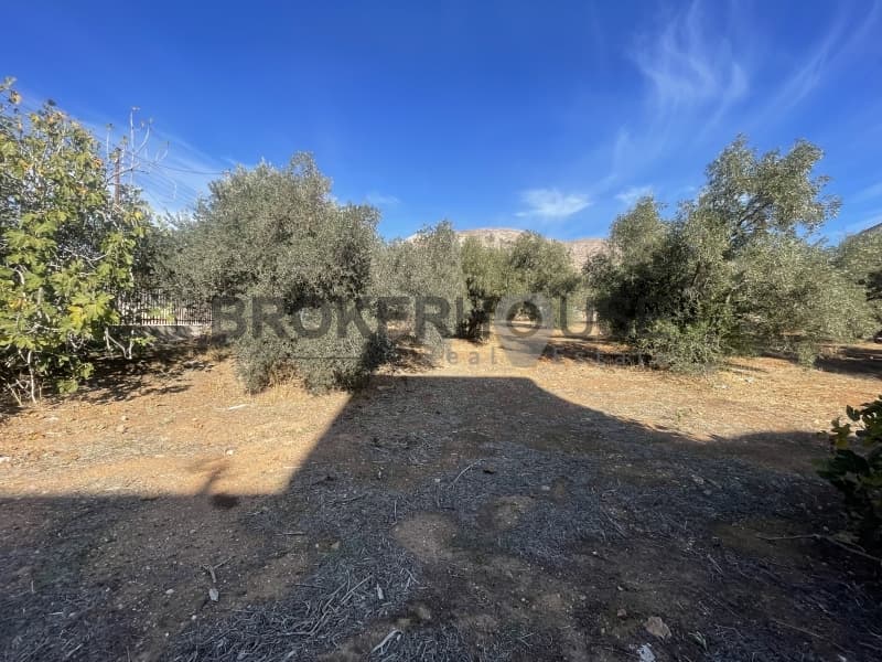 Οικόπεδο στην Καλύβια, Καλύβια Θορικού — Φωτογραφία 8 από 8