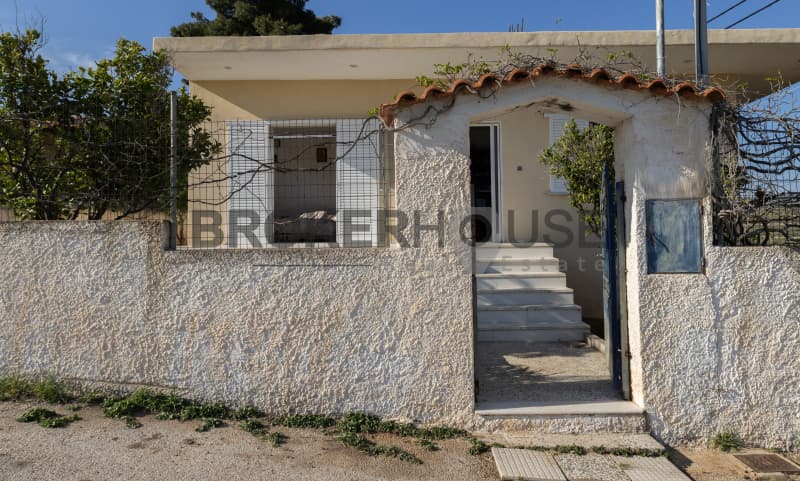 House in Elaionas, Anavissos — Photo 22 of 30