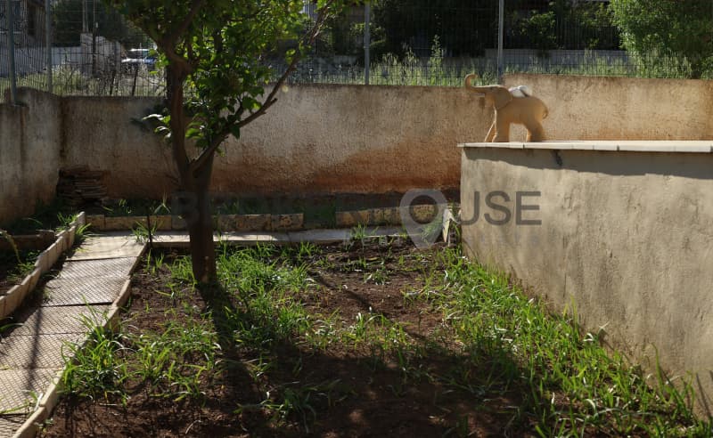 House in Elaionas, Anavissos — Photo 28 of 30
