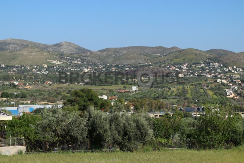 House in Elaionas, Anavissos — Photo 6 of 30