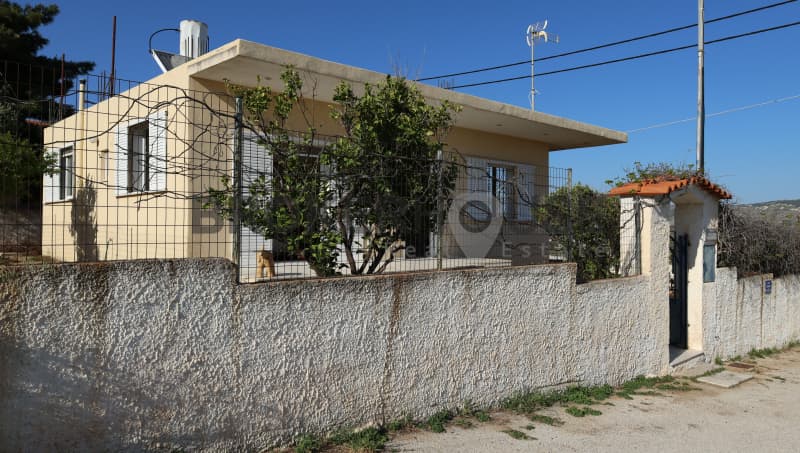 House in Elaionas, Anavissos — Photo 21 of 30