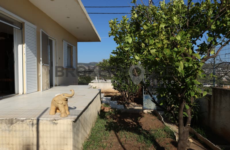 House in Elaionas, Anavissos — Photo 1 of 30