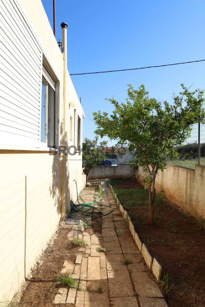 House in Elaionas, Anavissos — Photo 13 of 30