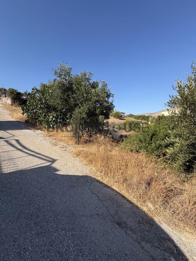 Οικόπεδο στην Γαλάζια ακτή, Καλύβια Θορικού — Φωτογραφία 3 από 9