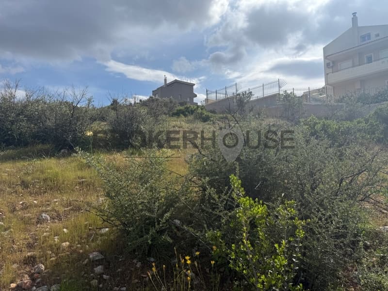 Οικόπεδο στην Ντράφι, Πικέρμι — Φωτογραφία 5 από 6