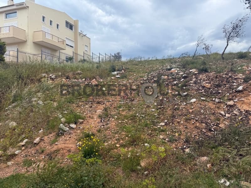 Οικόπεδο στην Δασαμάρι, Πικέρμι — Φωτογραφία 2 από 3