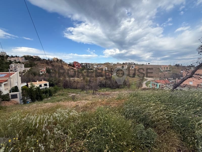 Οικόπεδο στην Δασαμάρι, Πικέρμι — Φωτογραφία 3 από 3