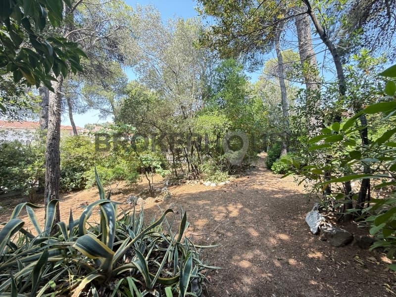 Building Plot in Center, Penteli — Photo 3 of 6