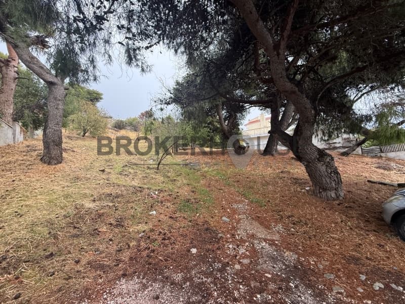 Building Plot in Center, Penteli — Photo 4 of 4