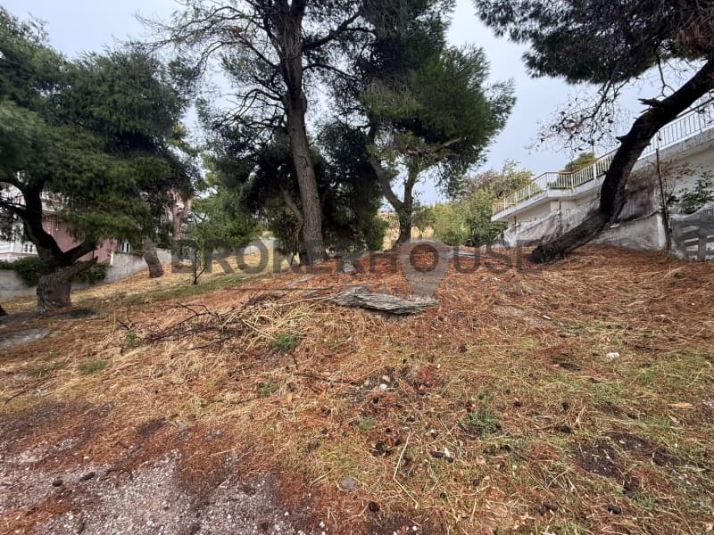 Building Plot in Center, Penteli — Photo 3 of 4