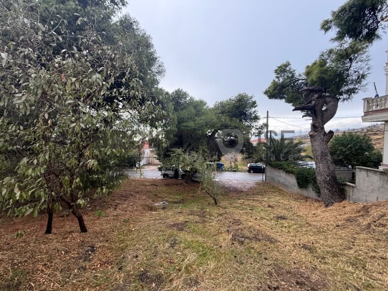 Building Plot in Center, Penteli — Photo 2 of 4