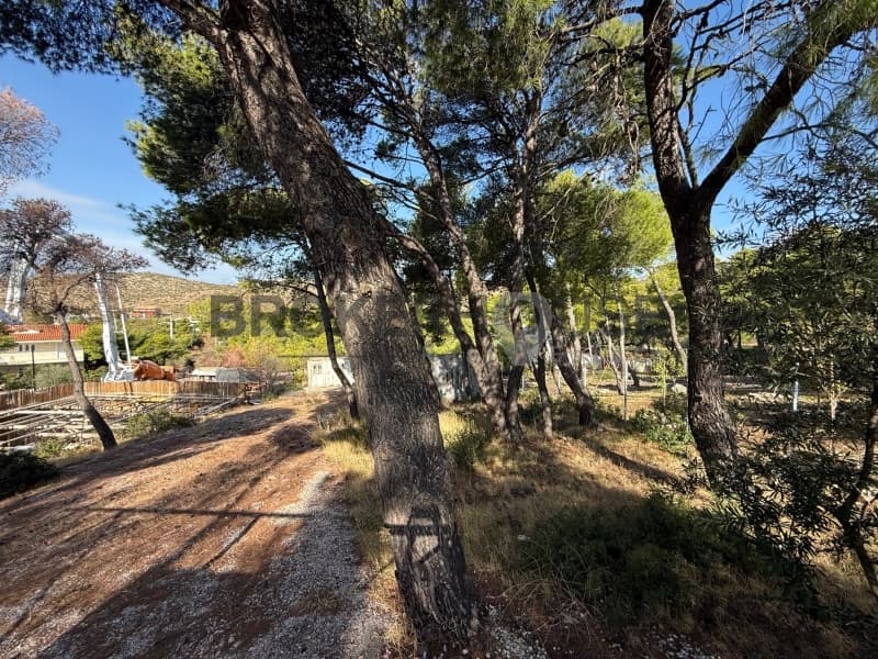 Building Plot in Kallithea, Penteli — Photo 2 of 5