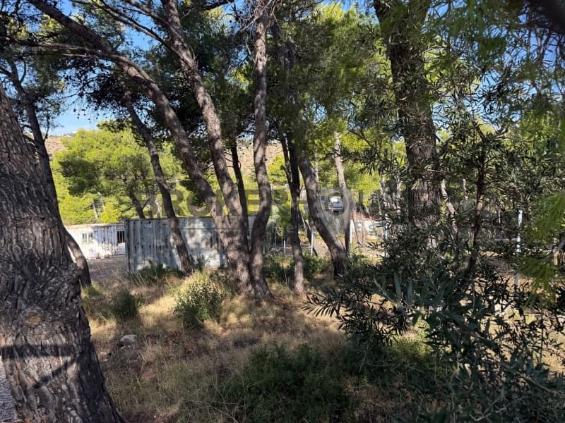 Building Plot in Kallithea, Penteli — Photo 3 of 5
