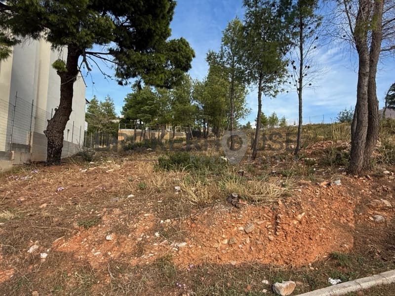 Οικόπεδο στην Δασαμάρι, Πικέρμι — Φωτογραφία 2 από 5