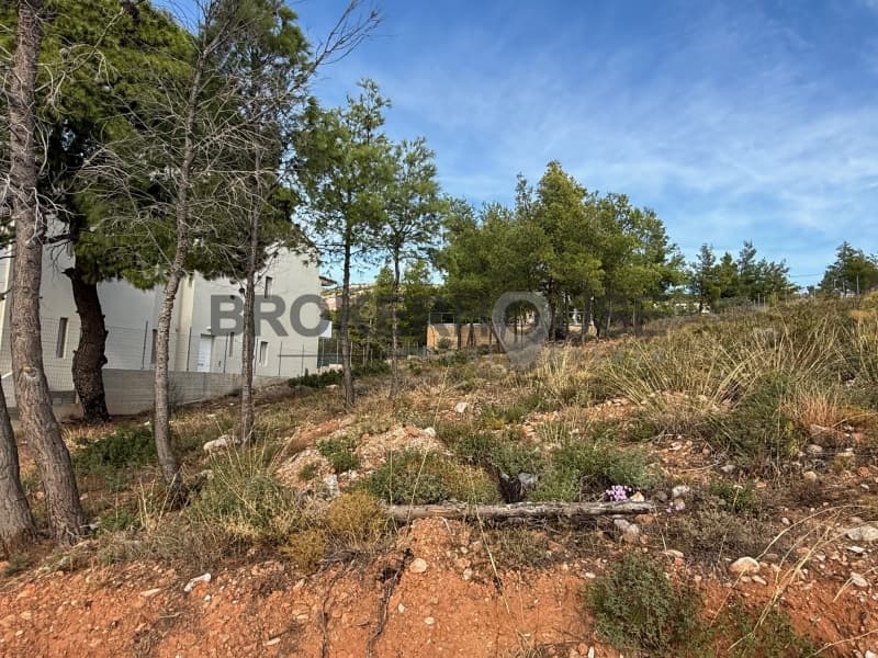 Οικόπεδο στην Δασαμάρι, Πικέρμι — Φωτογραφία 1 από 5
