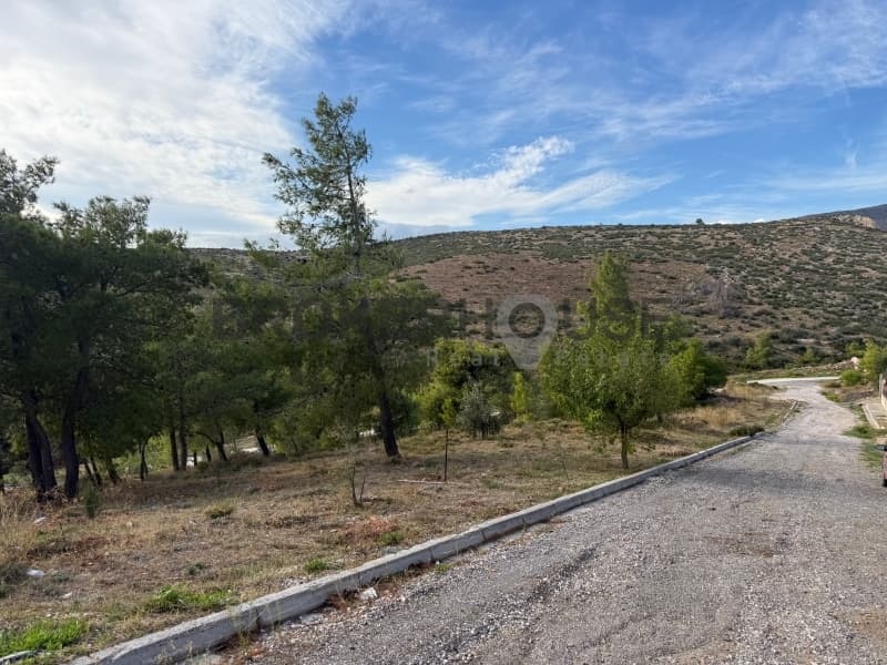 Οικόπεδο στην Δασαμάρι, Πικέρμι — Φωτογραφία 5 από 5