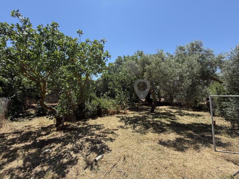 Οικόπεδο στην Ζούμπερι, Νέα Μάκρη — Φωτογραφία 3 από 5