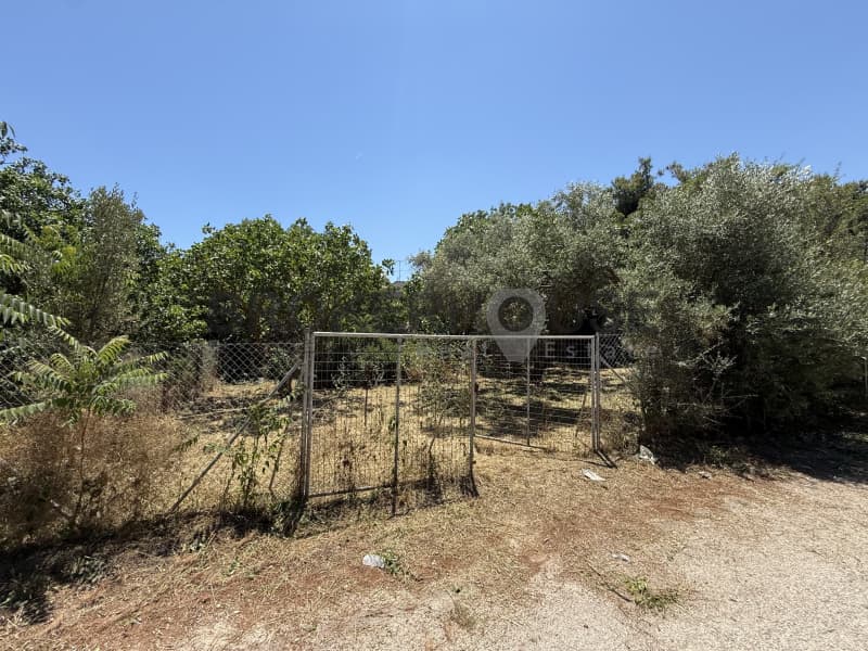 Οικόπεδο στην Ζούμπερι, Νέα Μάκρη — Φωτογραφία 4 από 5