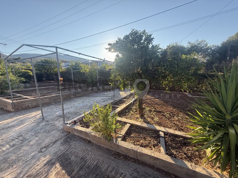 House in Neo Livissi, Nea Makri — Photo 13 of 15