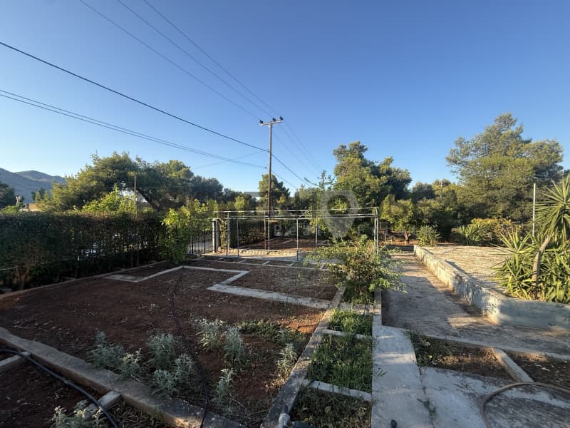 House in Neo Livissi, Nea Makri — Photo 14 of 15