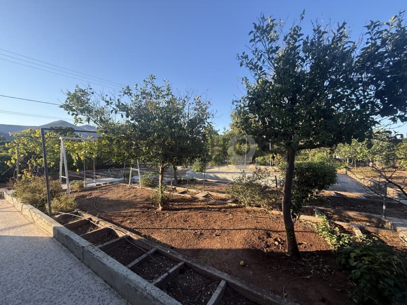 House in Neo Livissi, Nea Makri — Photo 12 of 15