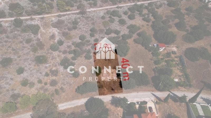 Οικόπεδο στην Άγιος Παντελεήμονας, Νέα Μάκρη — Φωτογραφία 2 από 8