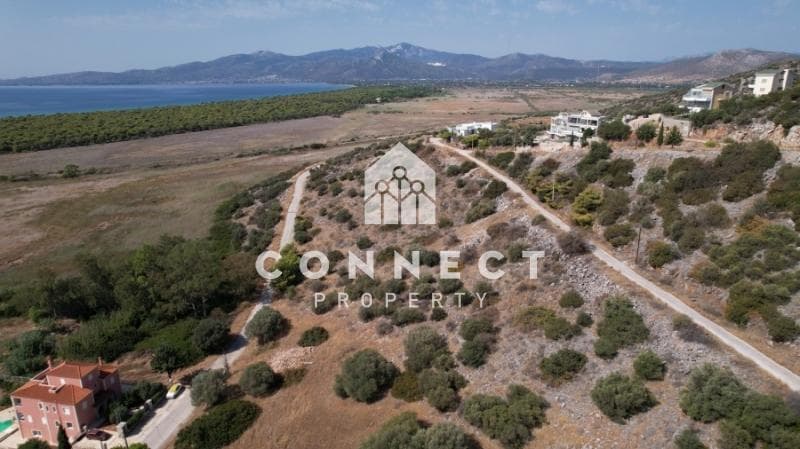 Οικόπεδο στην Άγιος Παντελεήμονας, Νέα Μάκρη — Φωτογραφία 4 από 8