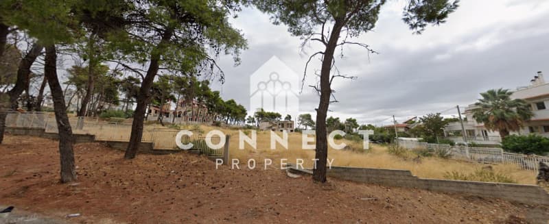 Building Plot in Megala Sxoinia A, Acharnes — Photo 14 of 15