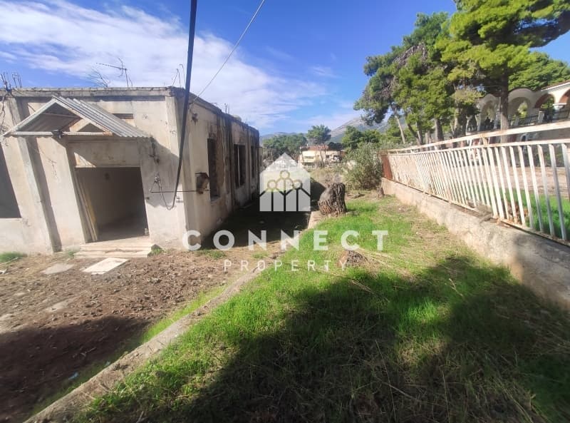 Building Plot in Megala Sxoinia A, Acharnes — Photo 6 of 15