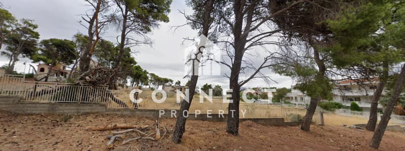Building Plot in Megala Sxoinia A, Acharnes — Photo 15 of 15