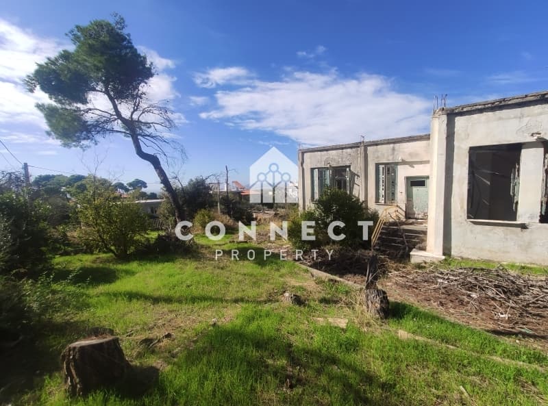 Building Plot in Megala Sxoinia A, Acharnes — Photo 1 of 15